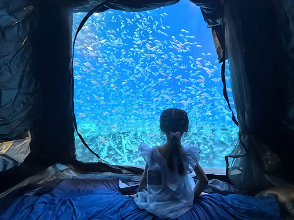 8月2日海洋夜宿火熱招募！與魚共眠的浪漫奇遇名額有限，速來！